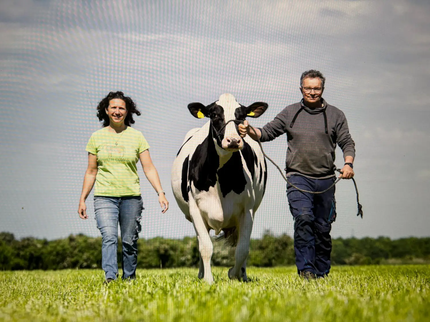 Thoenes Holstein International