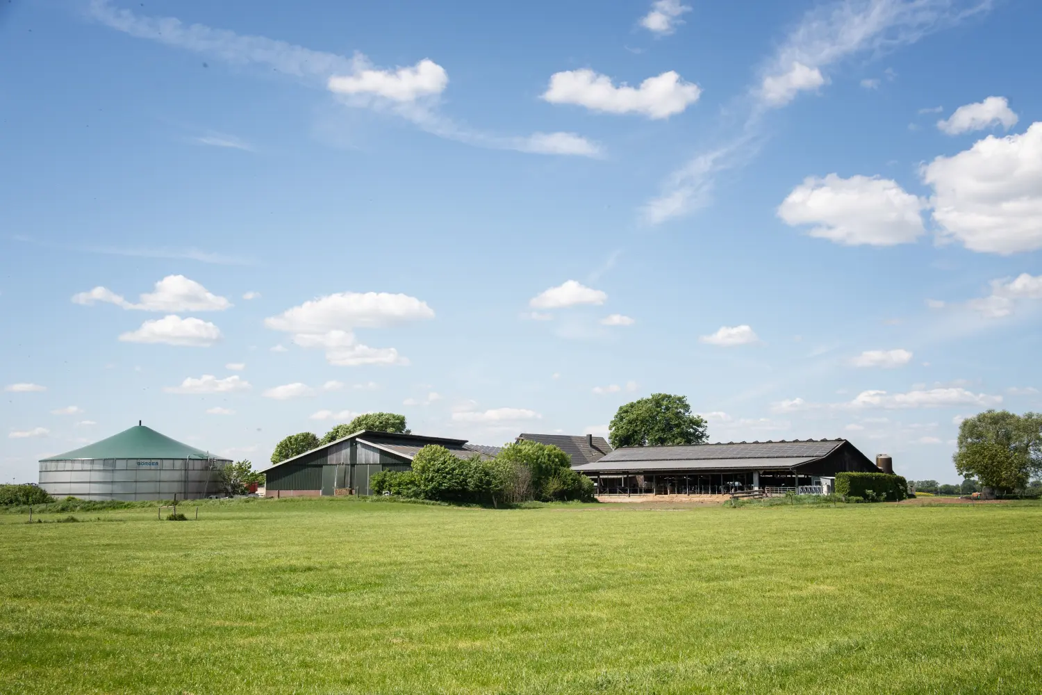Kuhfarm von THI Thönes Holstein International