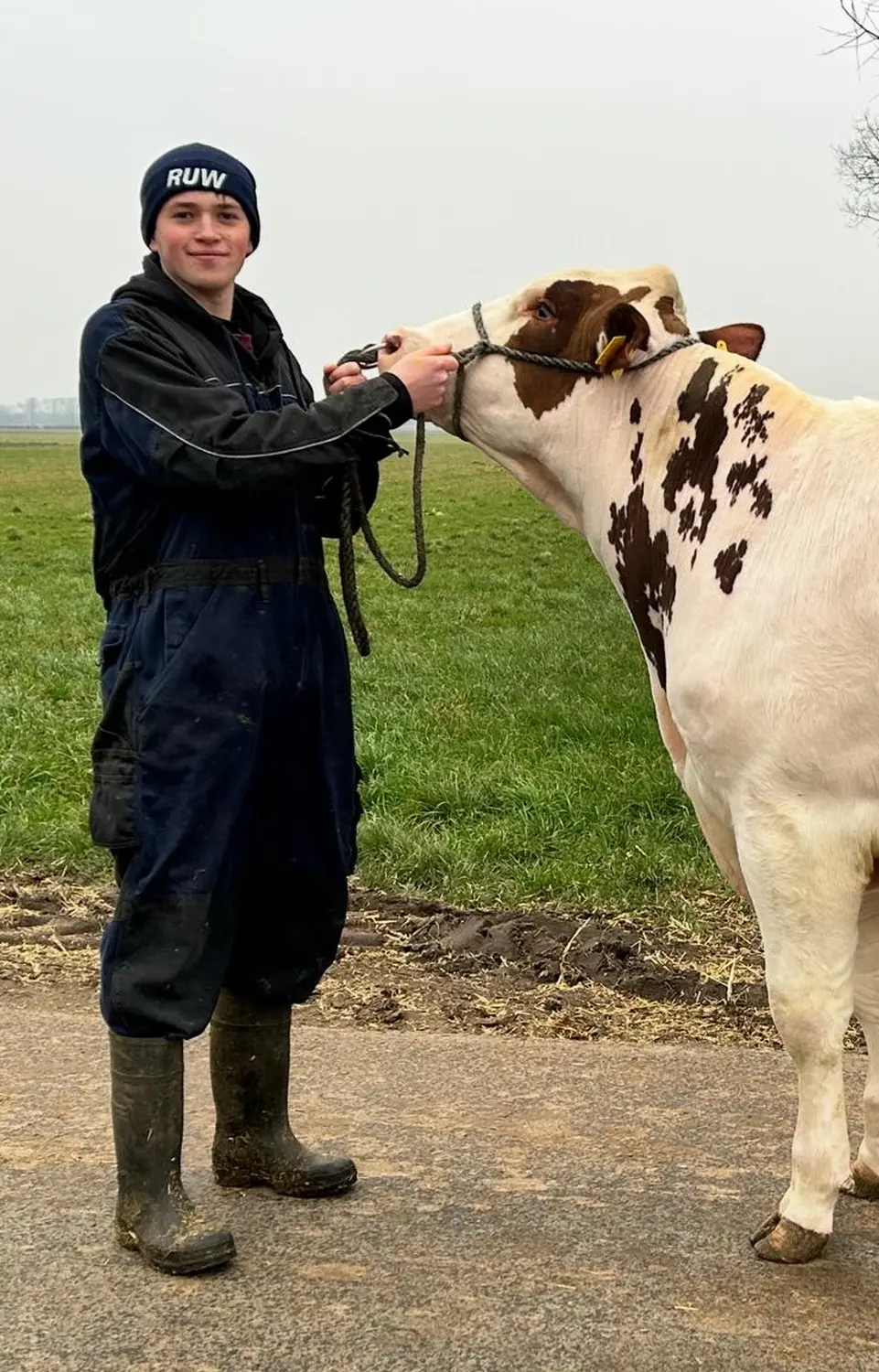 Praktikum in der Landwirtschaft (m/w/d) –Schwerpunkt Rinderzucht & moderne Melktechnik