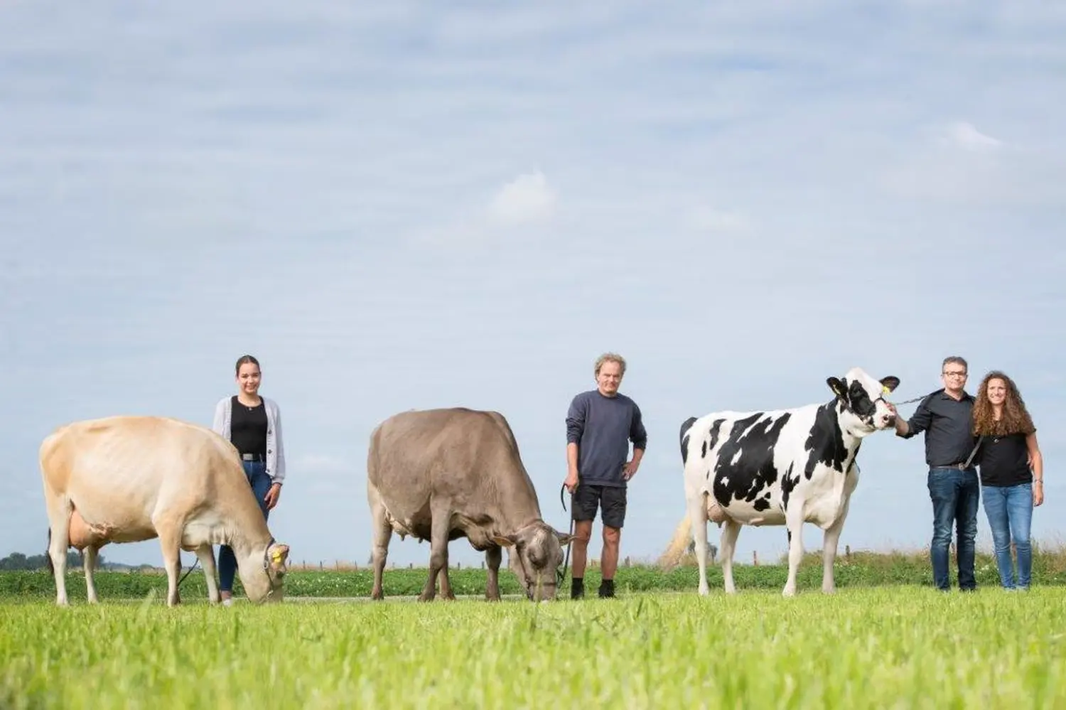 Kuh von THI Thönes Holstein International